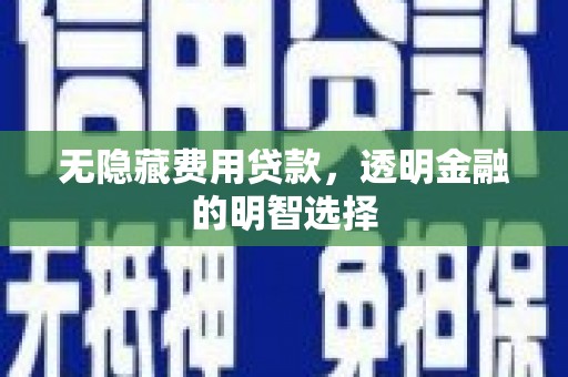巴里坤无隐藏费用贷款，透明金融的明智选择