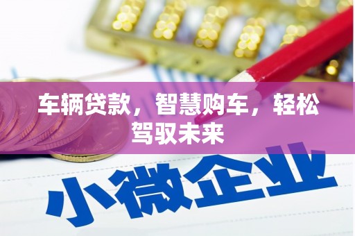 廊坊车辆贷款，智慧购车，轻松驾驭未来