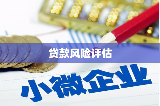 琼结贷款风险评估