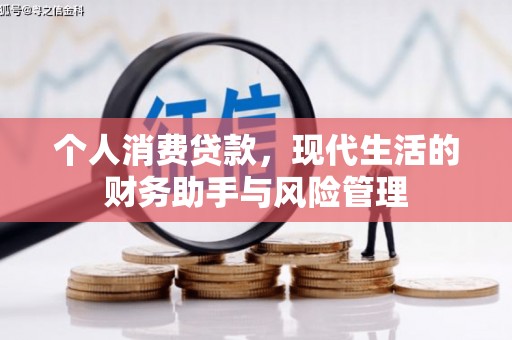 仁寿个人消费贷款，现代生活的财务助手与风险管理
