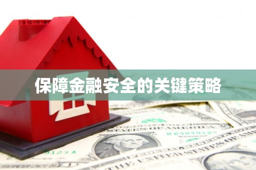 池上保障金融安全的关键策略