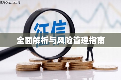 清城全面解析与风险管理指南