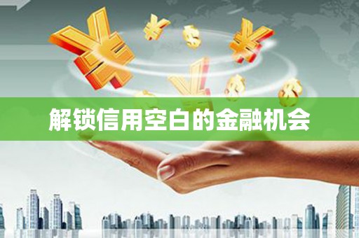 毕节解锁信用空白的金融机会