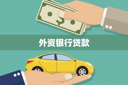 萨嘎外资银行贷款