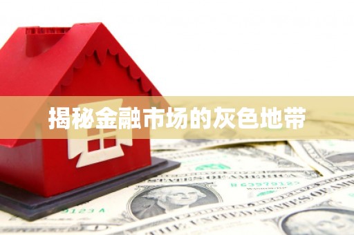 雷州揭秘金融市场的灰色地带