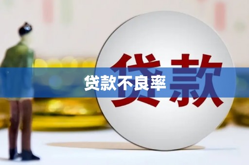 衢州贷款不良率